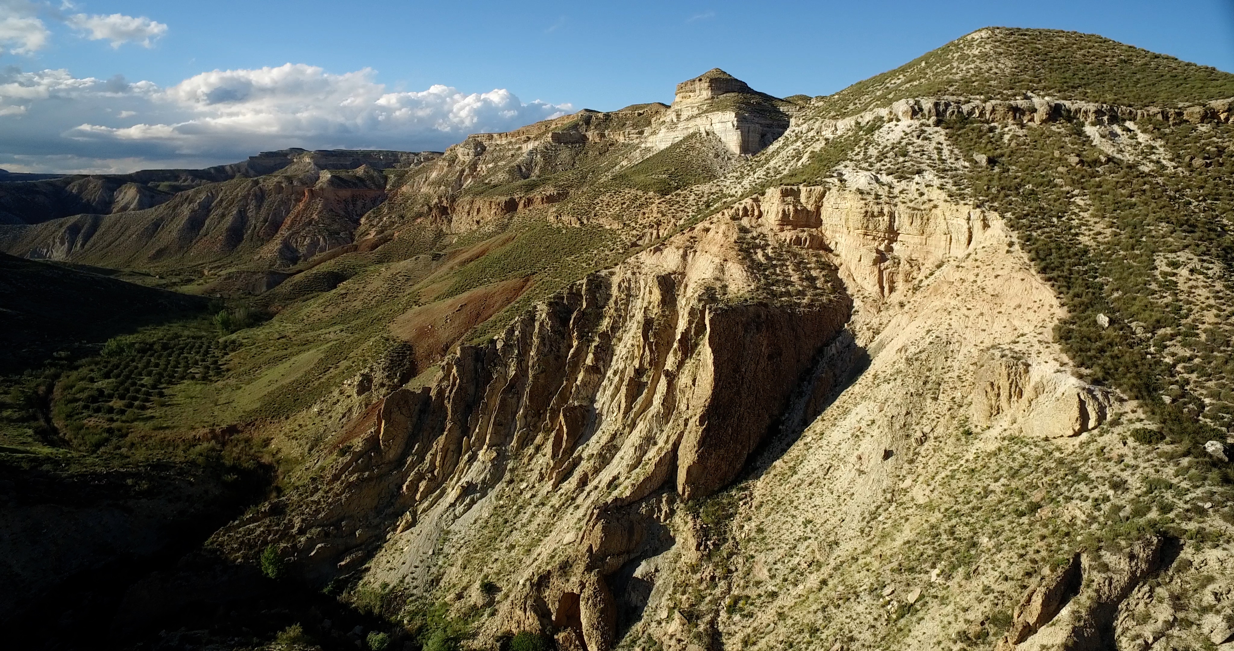 Descripción de la imagen